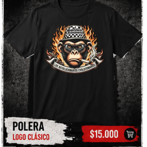 Polera 2026